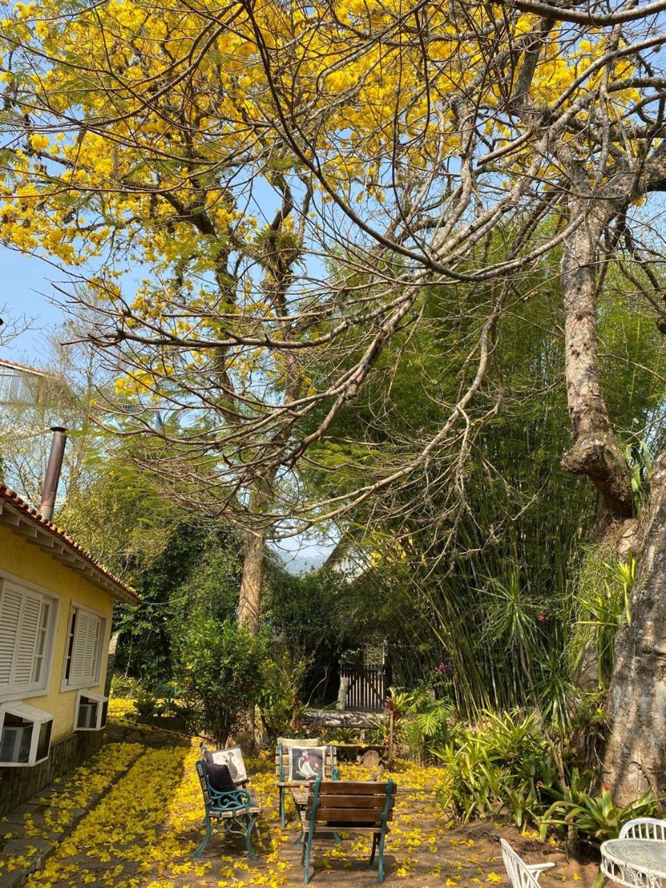 Pousada Casa Do Ipe Amarelo ميجيل بيريرا المظهر الخارجي الصورة