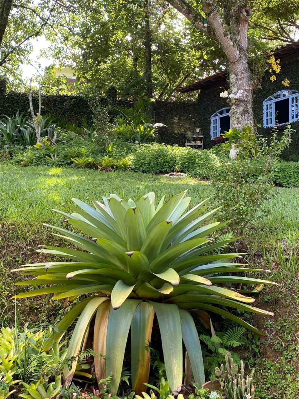 Pousada Casa Do Ipe Amarelo ميجيل بيريرا المظهر الخارجي الصورة