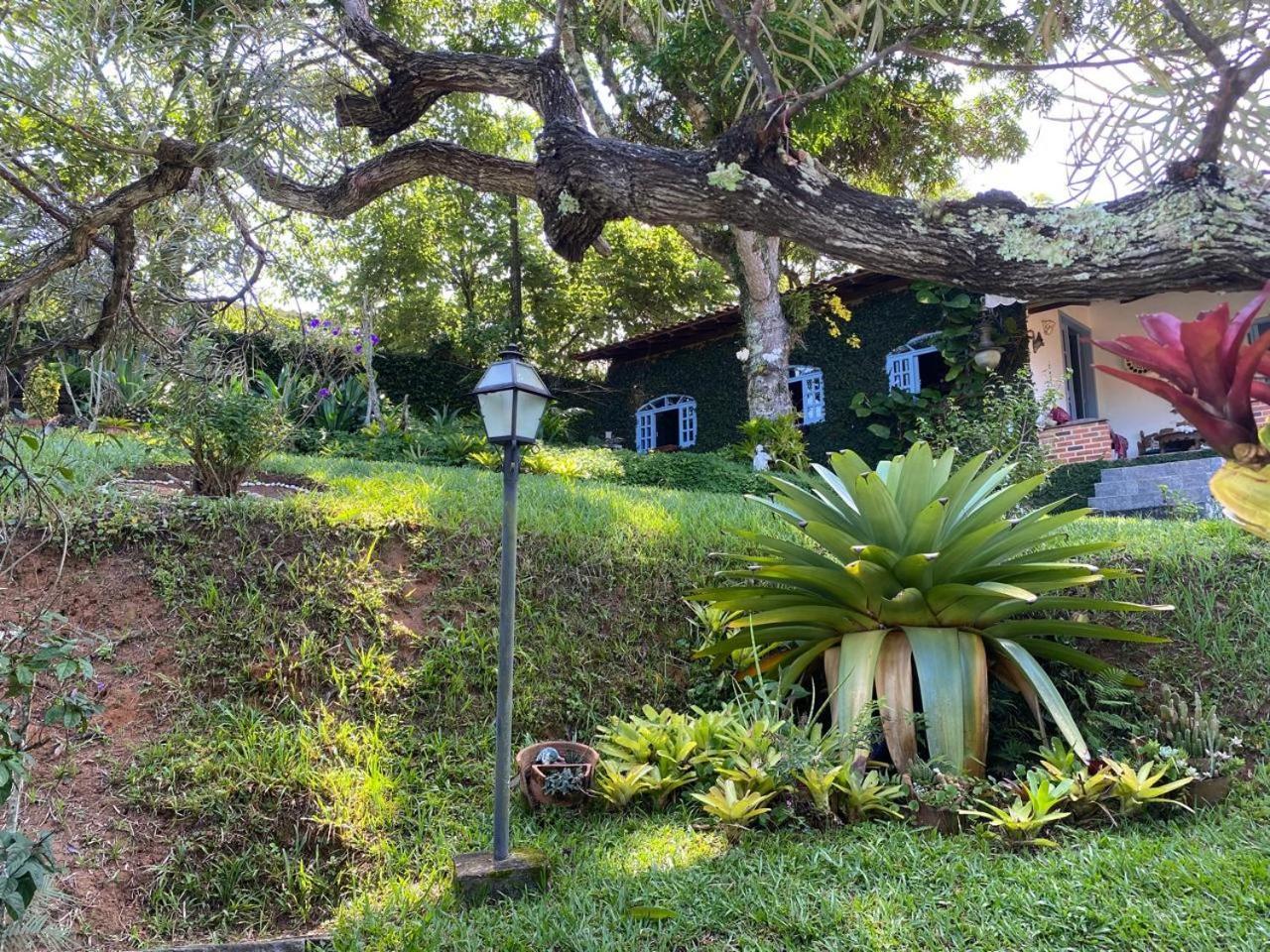 Pousada Casa Do Ipe Amarelo ميجيل بيريرا المظهر الخارجي الصورة