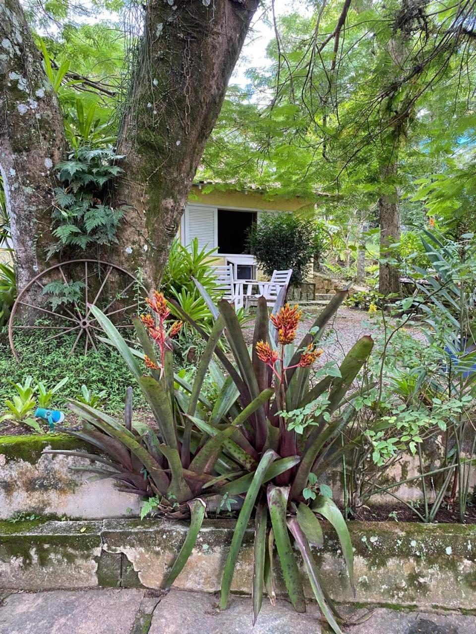 Pousada Casa Do Ipe Amarelo ميجيل بيريرا المظهر الخارجي الصورة