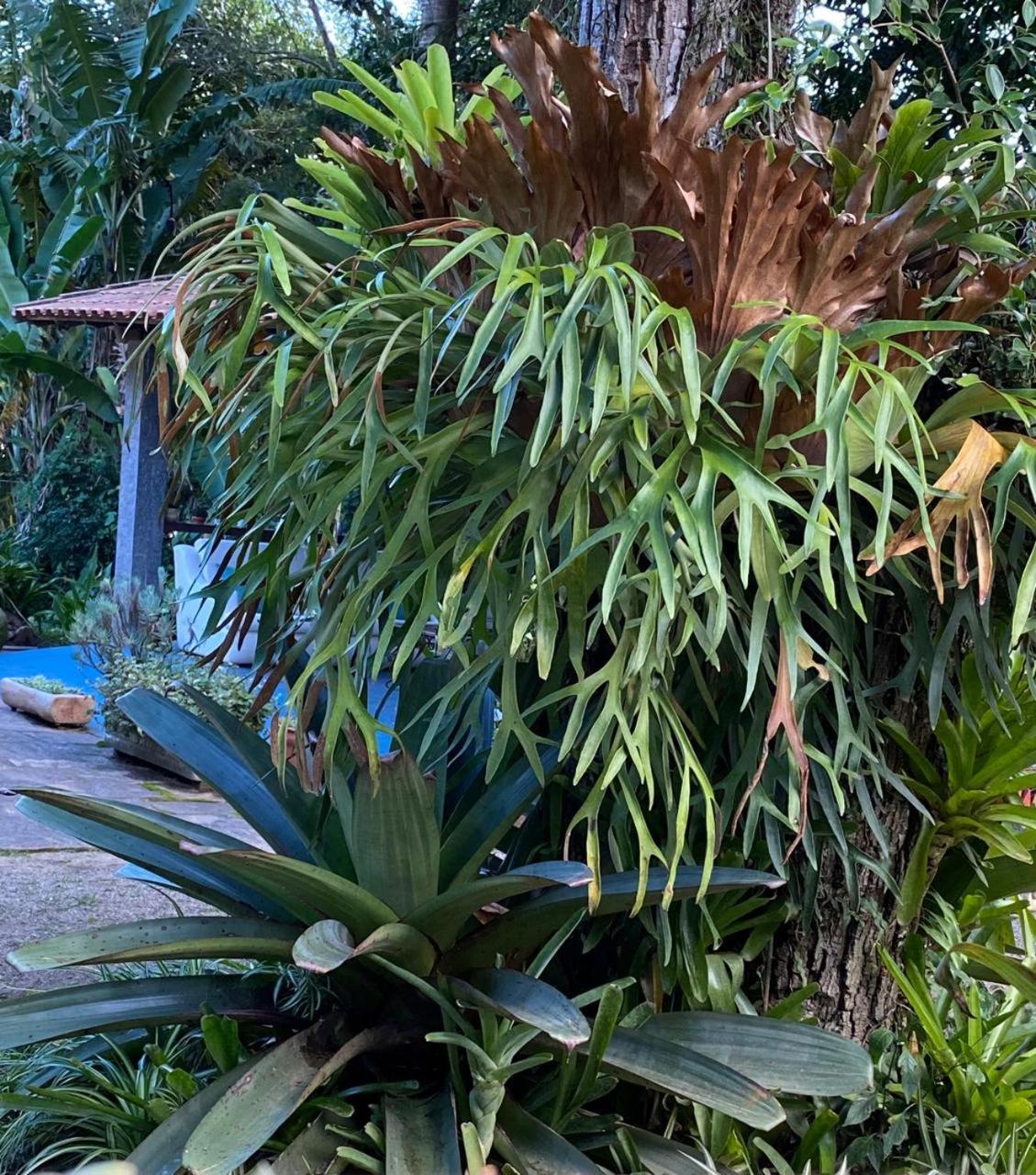 Pousada Casa Do Ipe Amarelo ميجيل بيريرا المظهر الخارجي الصورة
