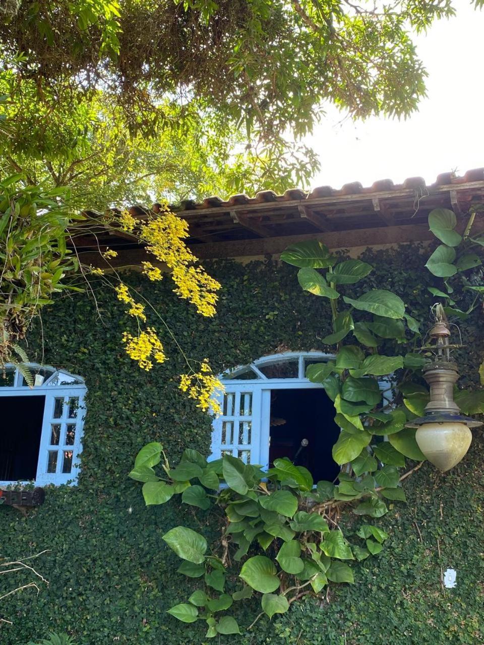 Pousada Casa Do Ipe Amarelo ميجيل بيريرا المظهر الخارجي الصورة